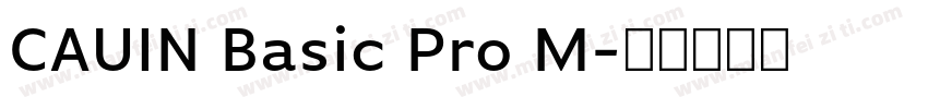 CAUIN Basic Pro M字体转换